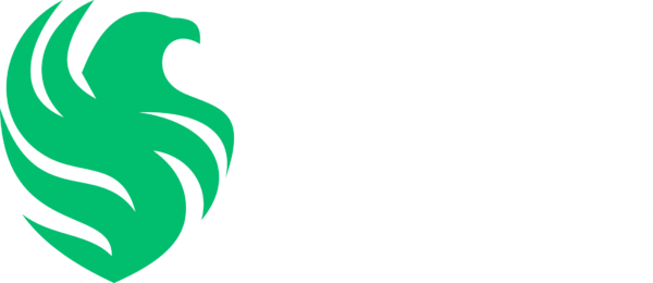 Team Falcons ロゴ