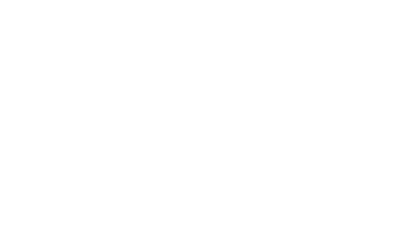 ZANSIDE GAMING ロゴ